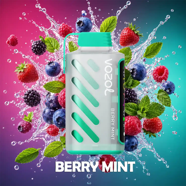 Vozol-Vape-Gear-Power-20000-Berry-Mint-1.png Vozol Vape Gear Power 20000