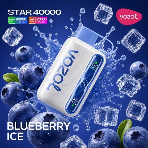 Vozol-Vape-Star-40000-Blueberry-Ice.jpg Vozol Vape Star 40000