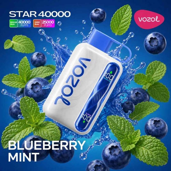 Vozol-Vape-Star-40000-Blueberry-Mint.jpg Vozol Vape Star 40000